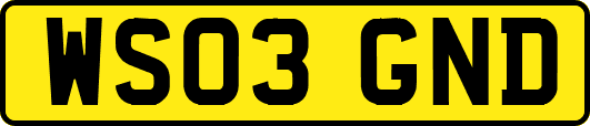 WS03GND