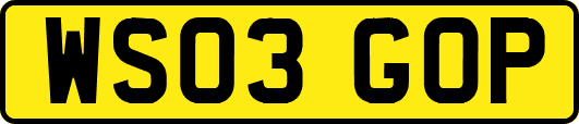 WS03GOP