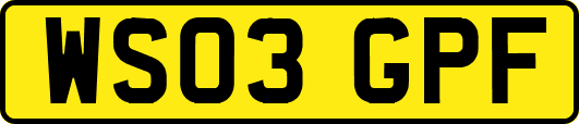 WS03GPF