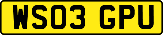 WS03GPU