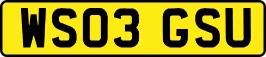 WS03GSU