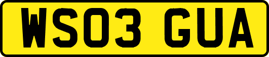 WS03GUA