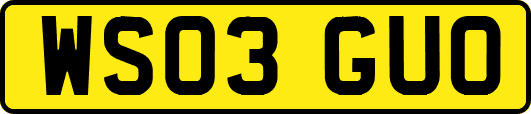 WS03GUO