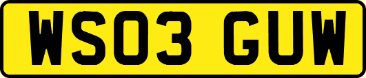 WS03GUW
