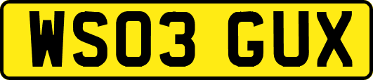 WS03GUX