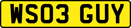WS03GUY