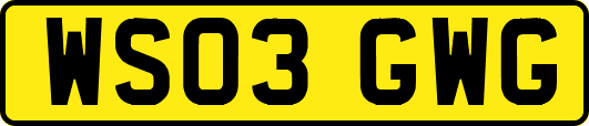 WS03GWG