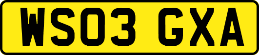 WS03GXA