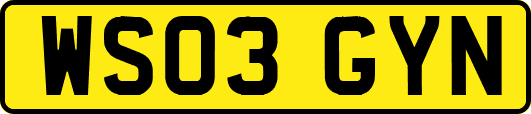 WS03GYN