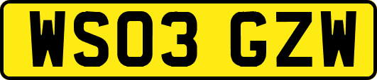 WS03GZW