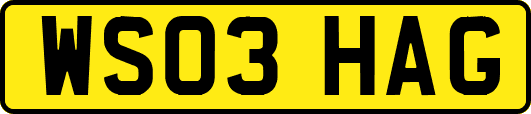 WS03HAG