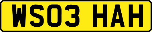 WS03HAH