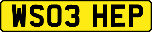 WS03HEP