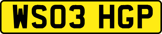 WS03HGP