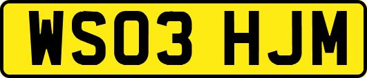 WS03HJM