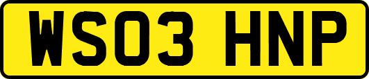 WS03HNP
