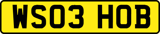 WS03HOB