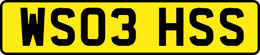 WS03HSS