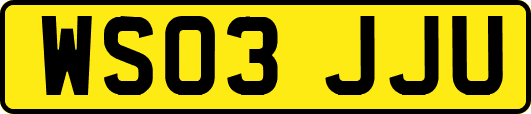 WS03JJU