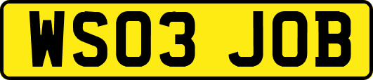 WS03JOB