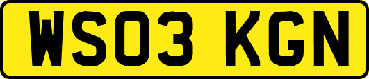 WS03KGN