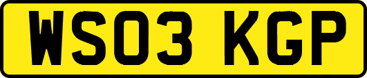 WS03KGP
