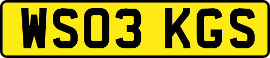 WS03KGS
