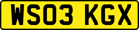 WS03KGX