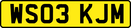 WS03KJM