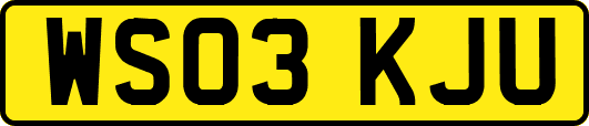 WS03KJU