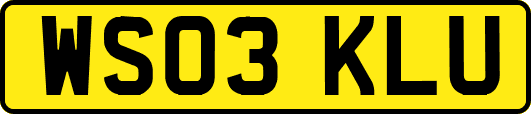 WS03KLU