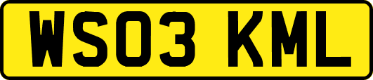 WS03KML