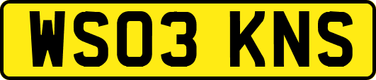 WS03KNS