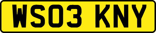 WS03KNY