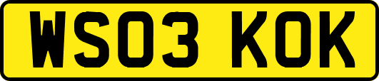 WS03KOK