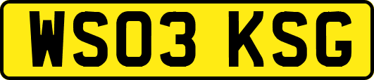 WS03KSG