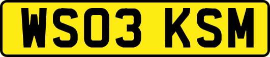 WS03KSM