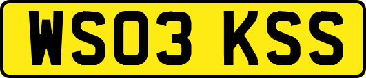 WS03KSS