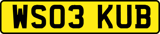 WS03KUB