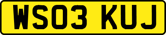 WS03KUJ