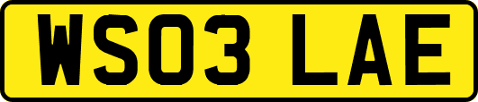 WS03LAE