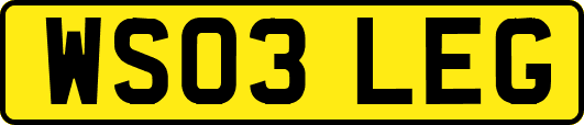 WS03LEG