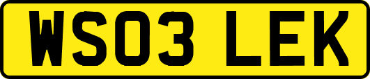 WS03LEK