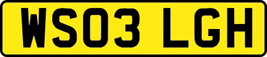 WS03LGH