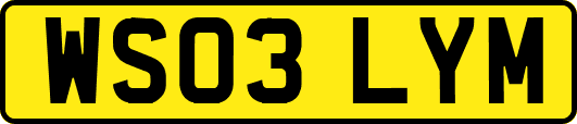 WS03LYM