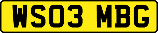 WS03MBG