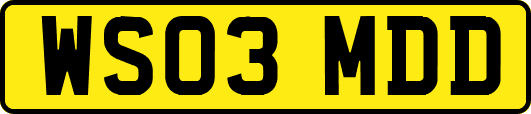 WS03MDD