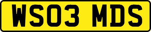 WS03MDS