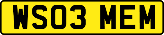 WS03MEM