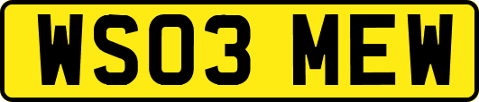 WS03MEW